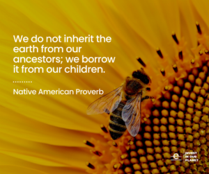 Bee on sunflower with quote 