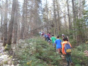 Children hiking through forest